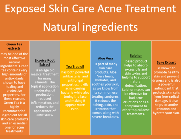 Exposed Skin Care Acne Treatment Reviews